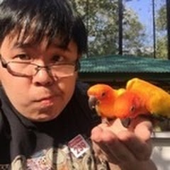 JWongVODS channel avatar